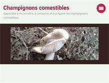 Tablet Screenshot of les-champignons.com